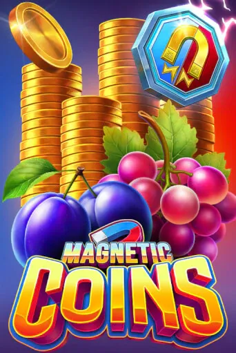 imgi_39_MagneticCoins513x767@x2