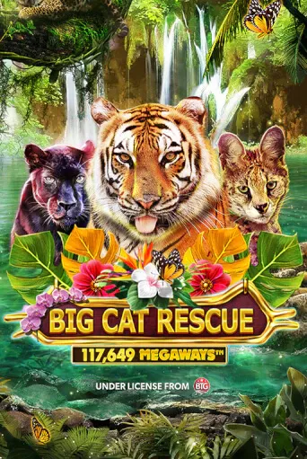 imgi_69_BigCatRescueMegaways@513x767@x2